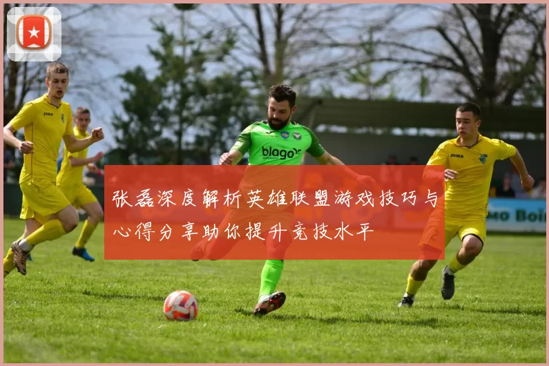 张磊深度解析英雄联盟游戏技巧与心得分享助你提升竞技水平