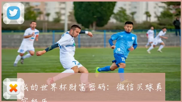 我的世界杯财富密码：微信买球真实经历