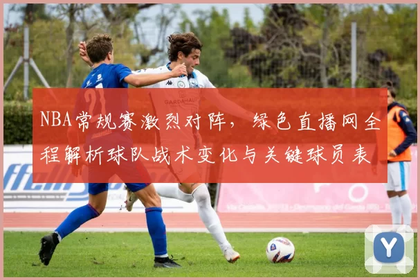 NBA常规赛激烈对阵，绿色直播网全程解析球队战术变化与关键球员表现