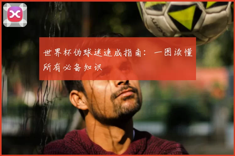 世界杯伪球迷速成指南:一图读懂所有必备知识