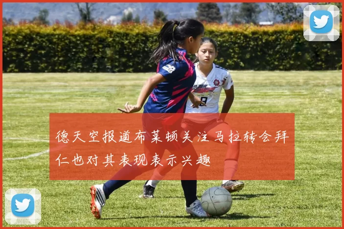 德天空报道布莱顿关注马拉转会拜仁也对其表现表示兴趣