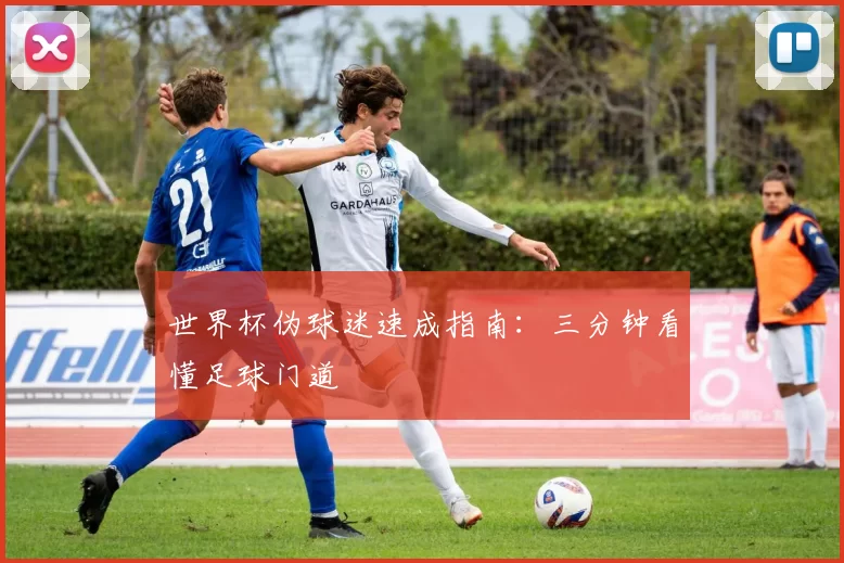 世界杯伪球迷速成指南:三分钟看懂足球门道