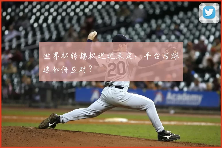 世界杯转播权迟迟未定,平台与球迷如何应对?
