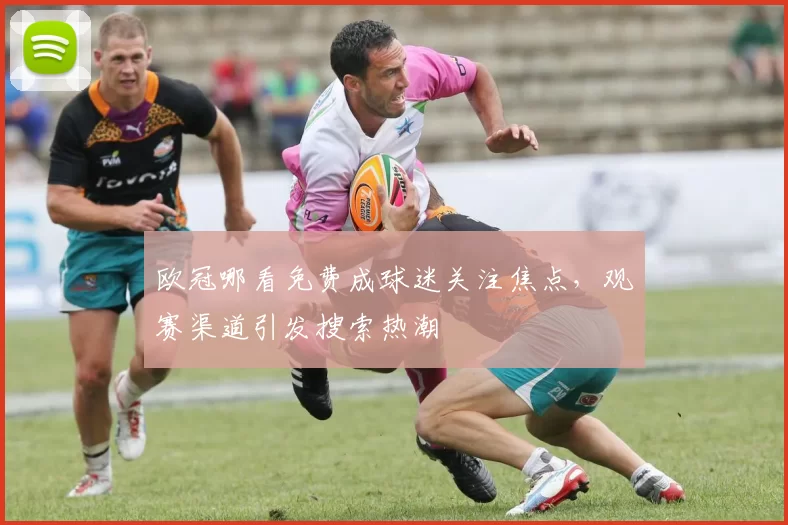 欧冠哪看免费成球迷关注焦点,观赛渠道引发搜索热潮