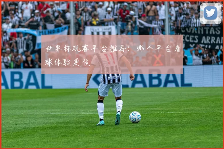 世界杯观赛平台推荐:哪个平台看球体验更佳