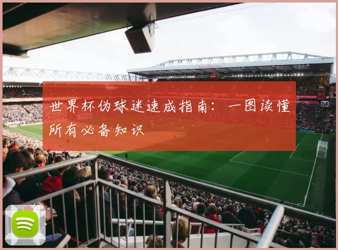 世界杯伪球迷速成指南:一图读懂所有必备知识