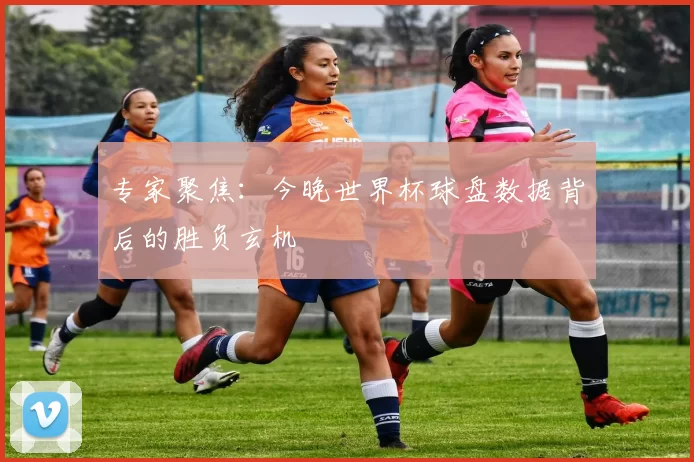 专家聚焦:今晚世界杯球盘数据背后的胜负玄机