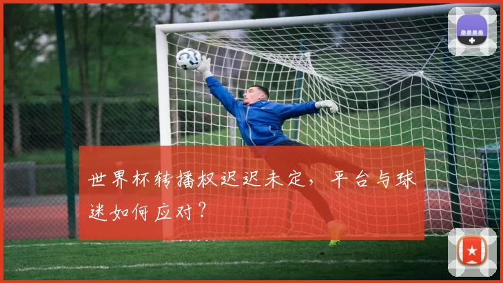世界杯转播权迟迟未定，平台与球迷如何应对？