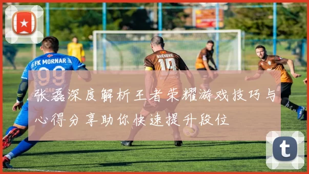 张磊深度解析王者荣耀游戏技巧与心得分享助你快速提升段位