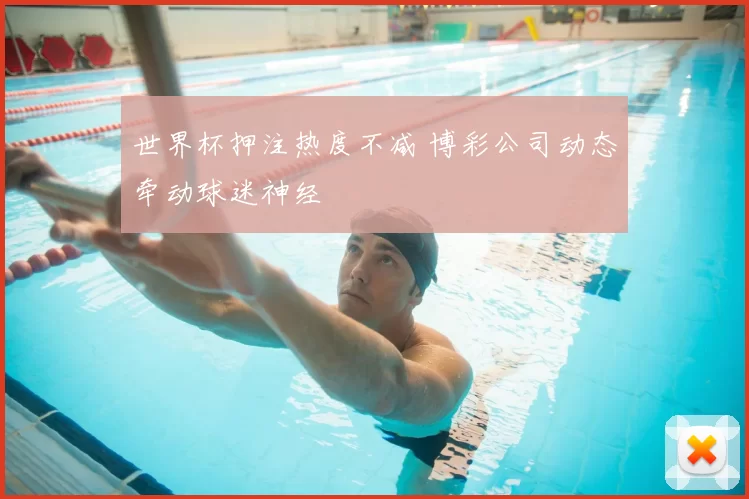 世界杯押注热度不减 博彩公司动态牵动球迷神经