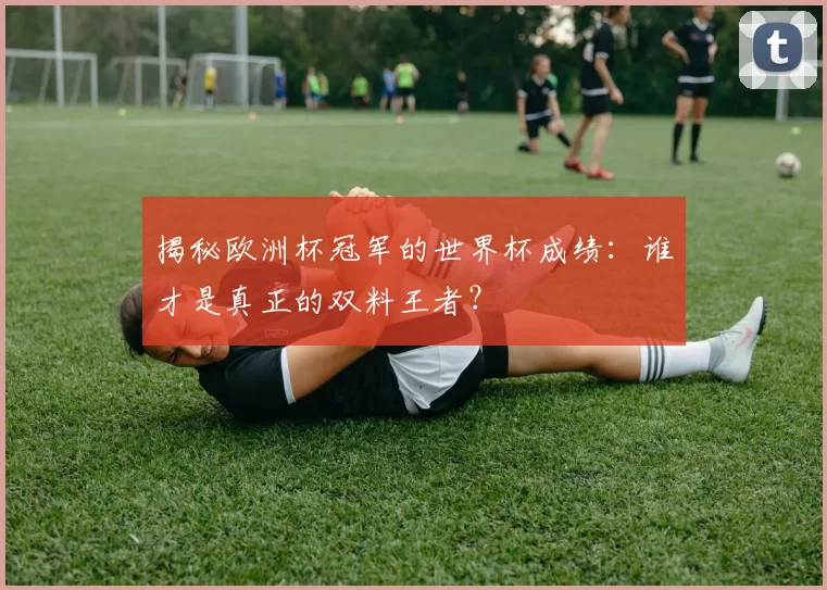 揭秘欧洲杯冠军的世界杯成绩:谁才是真正的双料王者?
