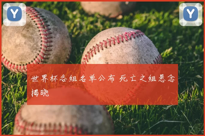 世界杯各组名单公布 死亡之组悬念揭晓