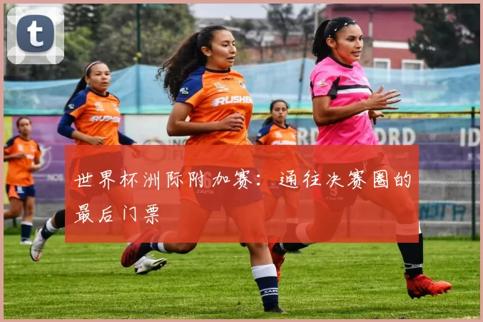 世界杯洲际附加赛:通往决赛圈的最后门票
