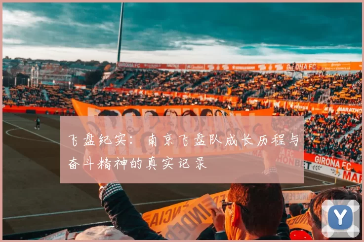 飞盘纪实:南京飞盘队成长历程与奋斗精神的真实记录