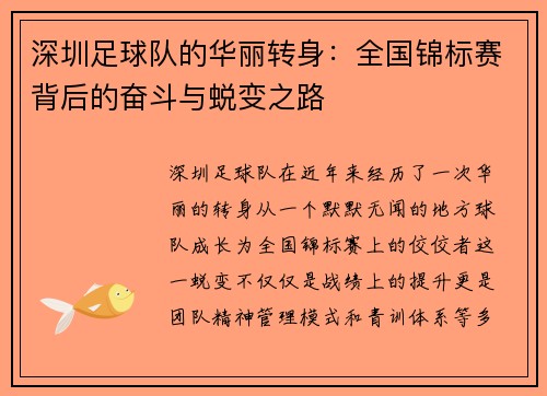 深圳足球队的华丽转身：全国锦标赛背后的奋斗与蜕变之路